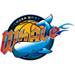 四川队标